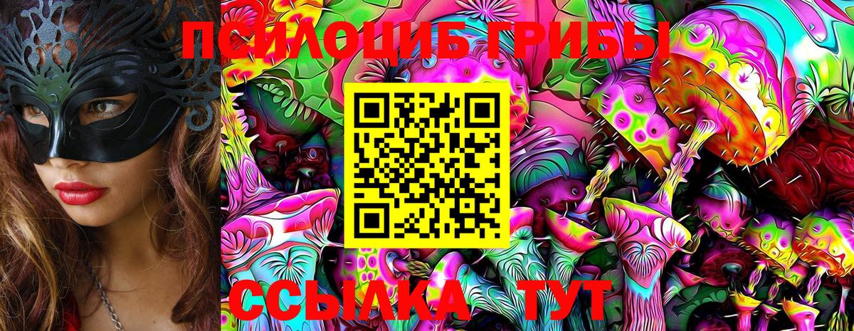 Северобайкальск  Галлюциногенные грибы GOLDEN TEACHER  Вход с VPN 