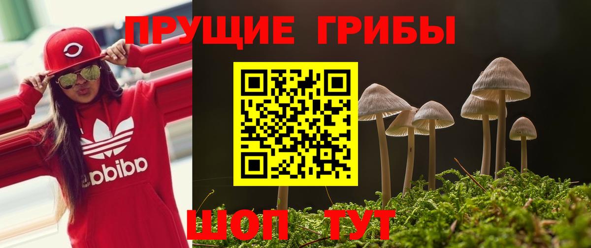 Псилоцибиновые грибы прущие грибы Северобайкальск